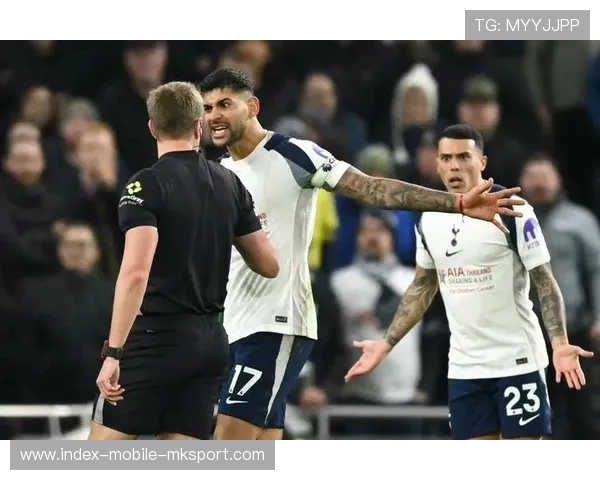 热刺年轻新星替补上场即刻送出制胜助攻——一次点燃希望的夜晚