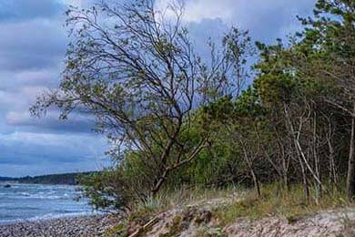 博卡阵型扁平，后场传导缺乏层次，博卡的主场名称是什么